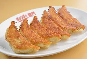 宇都宮ぎょうざの龍門の王道餃子