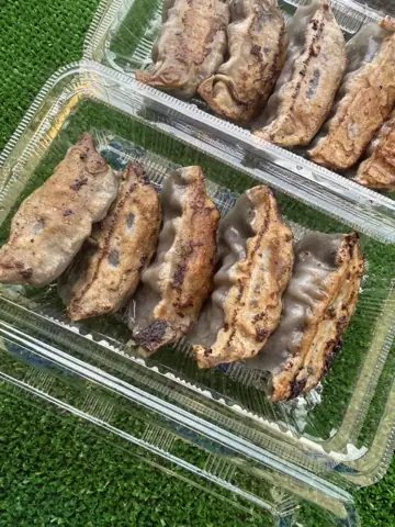 双龍天の薩摩黒豚塩餃子