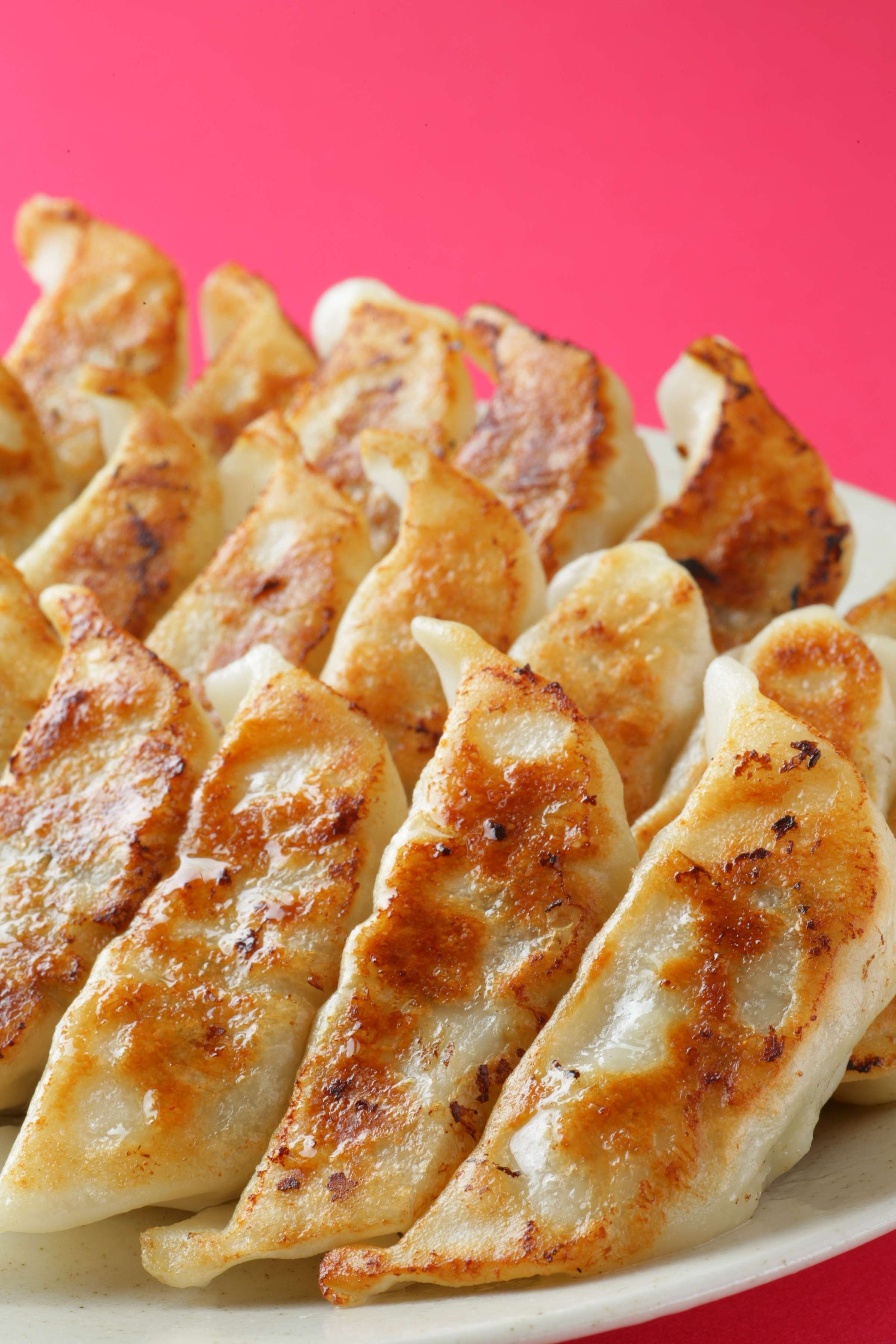 宇都宮肉餃子(勝力)